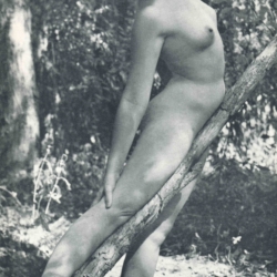 Nudist European Women no. 8 D.D. Teoli Jr. A.C. (15)