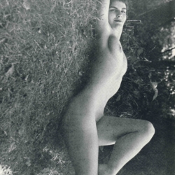 Nudist European Women no. 8 D.D. Teoli Jr. A.C. (2)