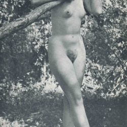 Nudist European Women no. 8 D.D. Teoli Jr. A.C. (4)