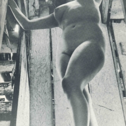 Nudist European Women no. 8 D.D. Teoli Jr. A.C. (5)